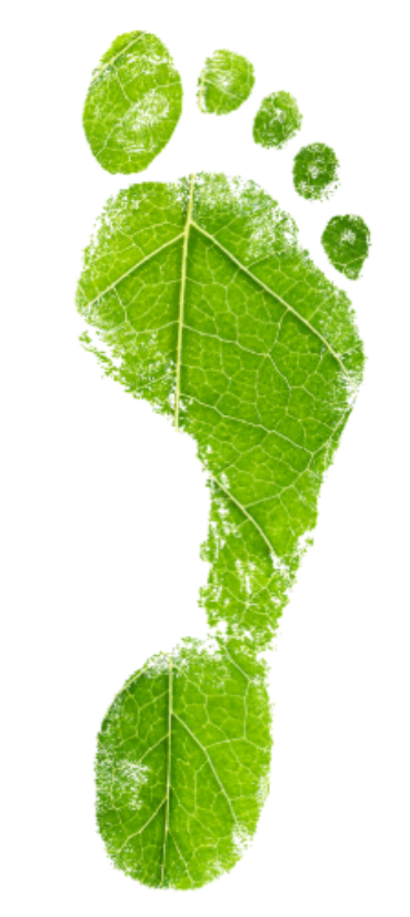 Green footprint logo representing sustainability